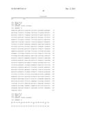 Genetically Engineered Microorganisms that Metabolize Xylose diagram and image