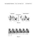 SYSTEM AND METHOD FOR PREDICTION OF RESPIRATORY MOTION FROM 3D THORACIC     IMAGES diagram and image