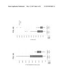 TERMINATOR SEQUENCE FOR GENE EXPRESSION IN PLANTS diagram and image