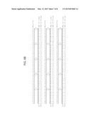 TERMINATOR SEQUENCE FOR GENE EXPRESSION IN PLANTS diagram and image