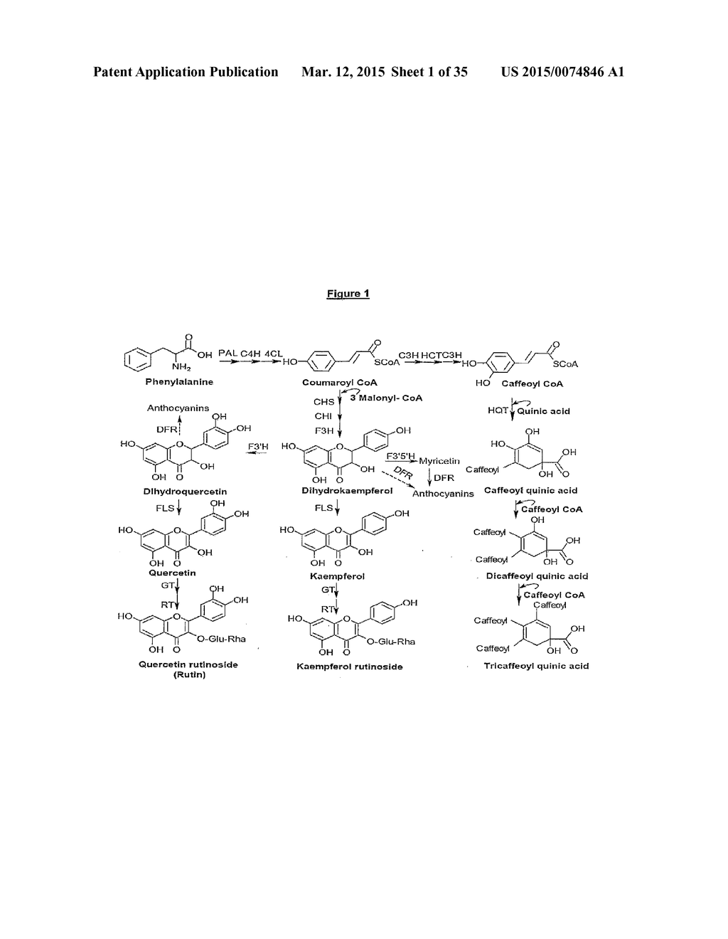 METHODS AND COMPOSITIONS FOR MODIFYING PLANT FLAVONOID COMPOSITION AND     DISEASE RESISTANCE - diagram, schematic, and image 02