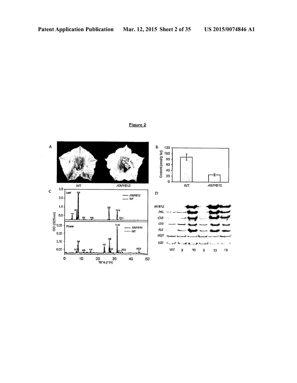 METHODS AND COMPOSITIONS FOR MODIFYING PLANT FLAVONOID COMPOSITION AND     DISEASE RESISTANCE - diagram, schematic, and image 03