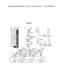 METHODS AND COMPOSITIONS FOR MODIFYING PLANT FLAVONOID COMPOSITION AND     DISEASE RESISTANCE diagram and image