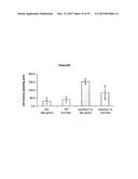 METHODS AND COMPOSITIONS FOR MODIFYING PLANT FLAVONOID COMPOSITION AND     DISEASE RESISTANCE diagram and image