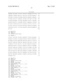 MOLECULAR MARKERS FOR BLACKLEG RESISTANCE GENE RLM2 IN BRASSICA NAPUS AND     METHODS OF USING THE SAME diagram and image