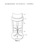 UNWANTED PLANT REMOVAL SYSTEM HAVING VARIABLE OPTICS diagram and image