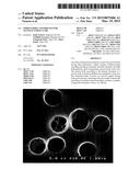 POROUS BODY AND PROCESS FOR MANUFACTURING SAME diagram and image