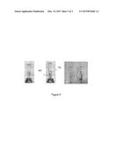 HYDROGEL-BASED DECONTAMINATION OF AQUEOUS SAMPLES CONTAINING NANOPARTICLES diagram and image