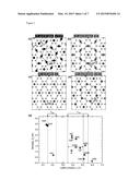 NANOWIRE DEVICE HAVING GRAPHENE TOP AND BOTTOM ELECTRODES AND METHOD OF     MAKING SUCH A DEVICE diagram and image