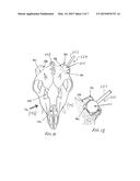 METHOD AND APPARATUS FOR WALL MOUNTING A SKULL WITH ADJUSTABLE ANTLER     ORIENTATION diagram and image