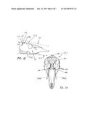 METHOD AND APPARATUS FOR WALL MOUNTING A SKULL WITH ADJUSTABLE ANTLER     ORIENTATION diagram and image