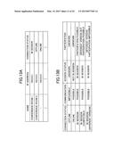 INFORMATION PROCESSING APPARATUS AND INFORMATION PROCESSING SYSTEM diagram and image