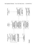 INFORMATION PROCESSING APPARATUS AND INFORMATION PROCESSING SYSTEM diagram and image