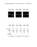 OPTICAL INFORMATION REPRODUCING DEVICE AND REFERENCE BEAM ADJUSTING METHOD diagram and image