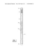 SIC MATRIX FUEL CLADDING TUBE WITH SPARK PLASMA SINTERED END PLUGS diagram and image