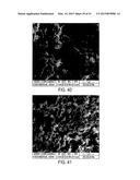 METHODS FOR USING METAL CATALYSTS IN CARBON OXIDE CATALYTIC CONVERTERS diagram and image