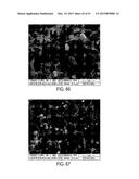 METHODS FOR USING METAL CATALYSTS IN CARBON OXIDE CATALYTIC CONVERTERS diagram and image