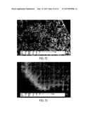 METHODS FOR USING METAL CATALYSTS IN CARBON OXIDE CATALYTIC CONVERTERS diagram and image