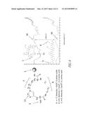 CYCLIC PEPTIDES AS PROTEIN TARGETING AGENTS diagram and image