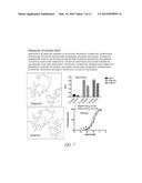 CYCLIC PEPTIDES AS PROTEIN TARGETING AGENTS diagram and image