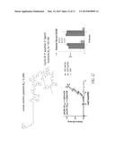 CYCLIC PEPTIDES AS PROTEIN TARGETING AGENTS diagram and image