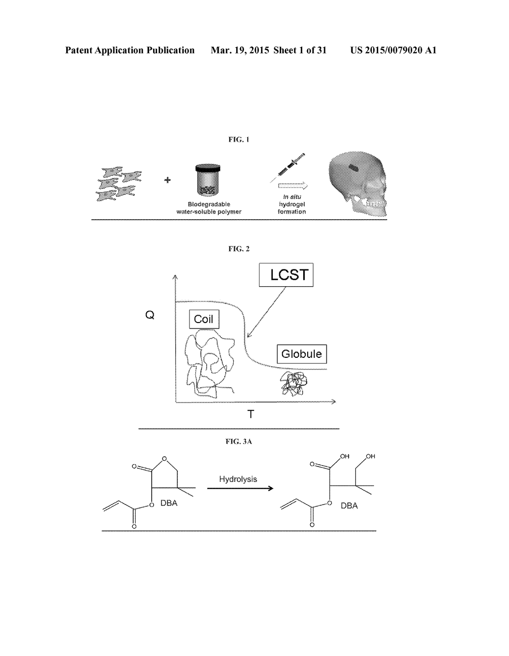 INJECTABLE HYDROGELS - diagram, schematic, and image 02