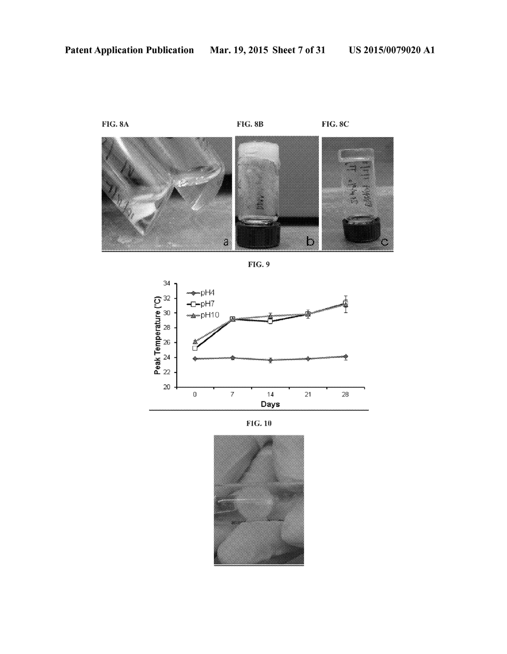 INJECTABLE HYDROGELS - diagram, schematic, and image 08