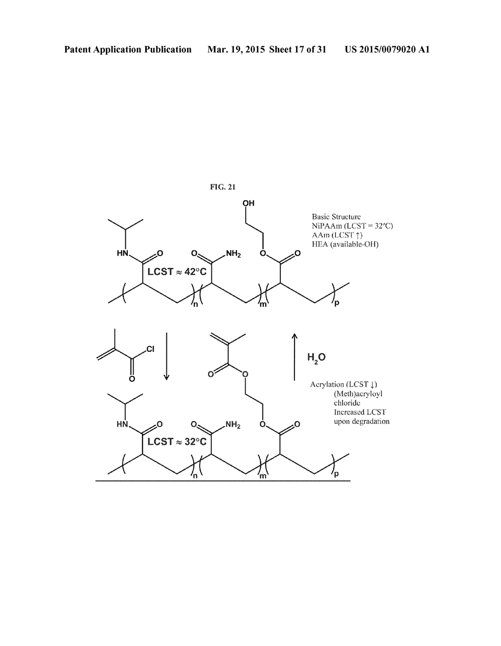 INJECTABLE HYDROGELS - diagram, schematic, and image 18