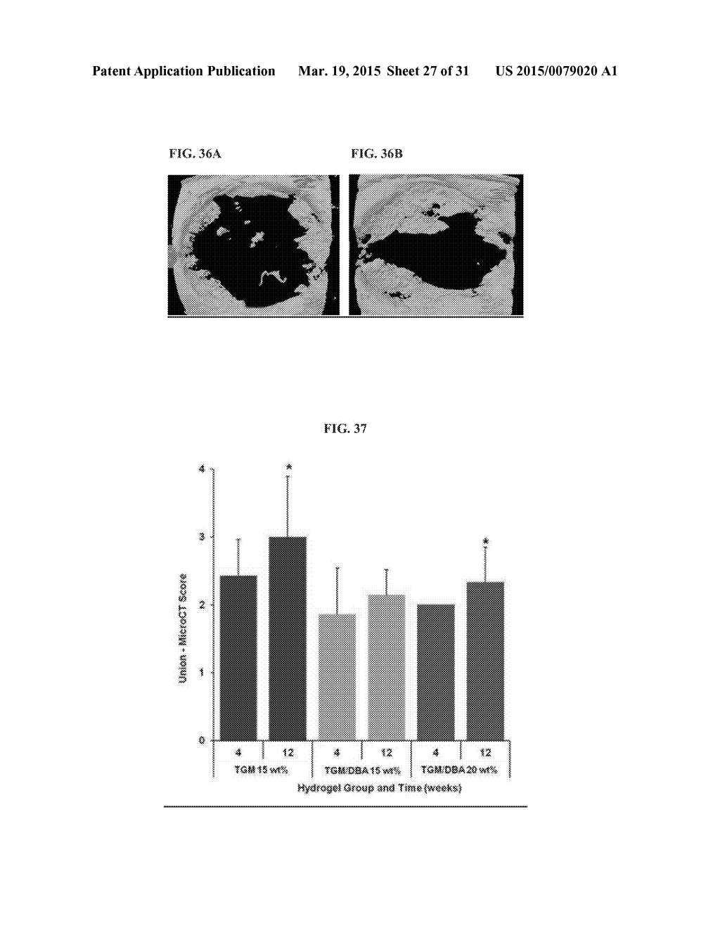 INJECTABLE HYDROGELS - diagram, schematic, and image 28