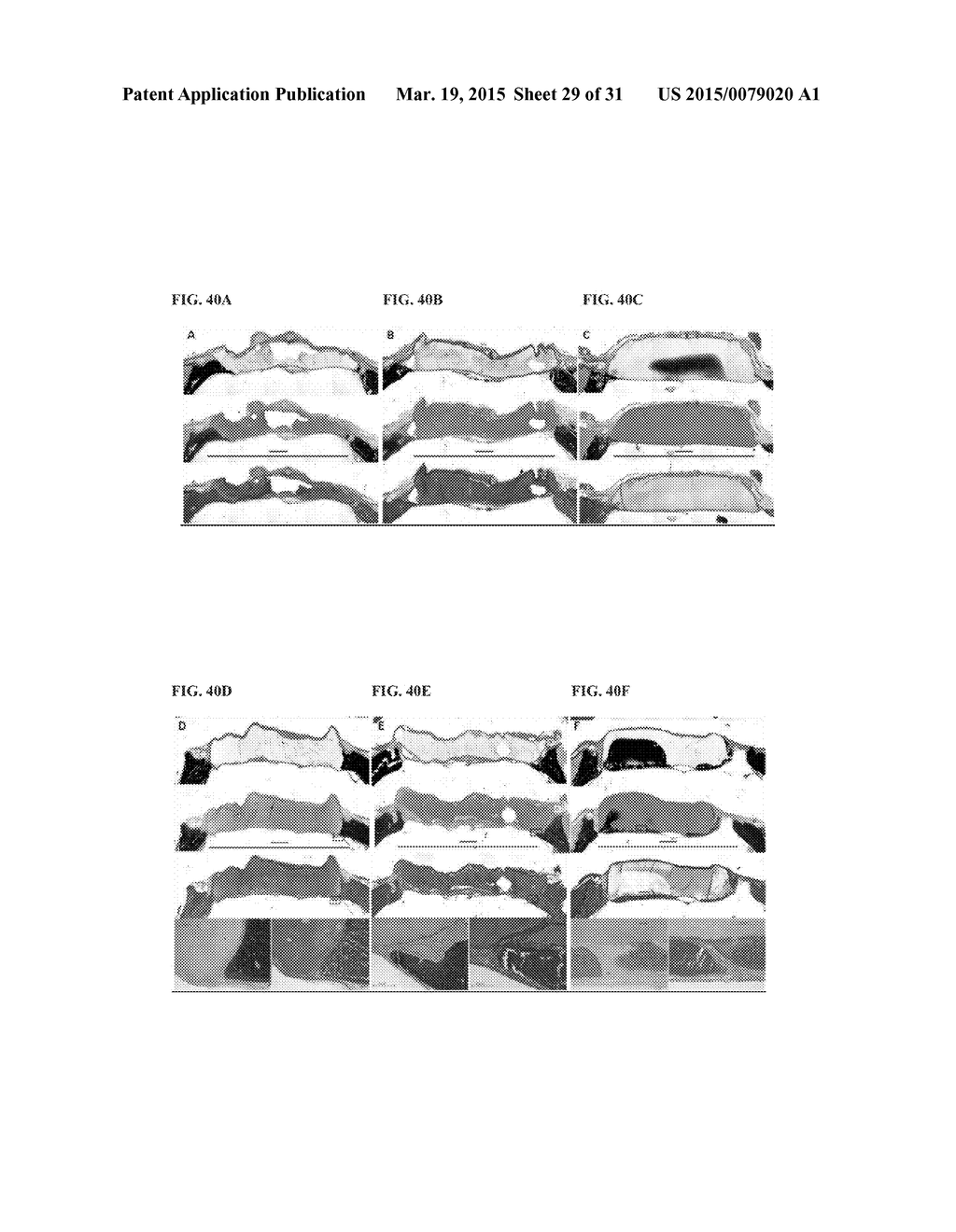 INJECTABLE HYDROGELS - diagram, schematic, and image 30