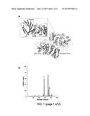 MEANS AND METHODS FOR GENERATING IMPROVED PROTEINS diagram and image