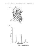 MEANS AND METHODS FOR GENERATING IMPROVED PROTEINS diagram and image