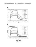 HYPERGLYCOSYLATED BINDING POLYPEPTIDES diagram and image