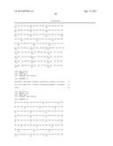 IDENTIFICATION OF NON-RESPONDERS TO HER2 INHIBITORS diagram and image