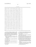 IDENTIFICATION OF NON-RESPONDERS TO HER2 INHIBITORS diagram and image