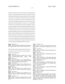 IDENTIFICATION OF NON-RESPONDERS TO HER2 INHIBITORS diagram and image