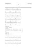 IDENTIFICATION OF NON-RESPONDERS TO HER2 INHIBITORS diagram and image