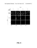Methods and Compositions for Treatment of Chlamydial Infection and Related     Diseases and Disorders diagram and image