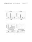 Anti-PD1 Antibodies and their Use as Therapeutics and Diagnostics diagram and image