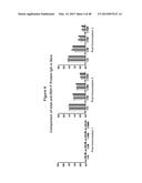 Human Respiratory Syncytial Virus Consensus Antigens, Nucleic Acid     Constructs And Vaccines Made Therefrom, And Methods Of Using Same diagram and image