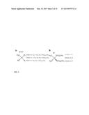 ANTIMICROBIAL COMPLEXES diagram and image