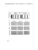 ANTIMICROBIAL COMPLEXES diagram and image