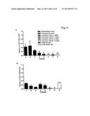 METHODS AND COMPOSITIONS FOR TREATING PROLIFERATIVE DISEASES diagram and image