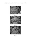 EDIBLE COATING FOR PLANT MATTER diagram and image