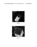 EDIBLE COATING FOR PLANT MATTER diagram and image