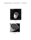 EDIBLE COATING FOR PLANT MATTER diagram and image