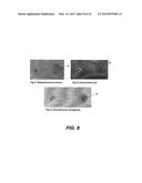 METHOD OF DOPING SURFACES diagram and image