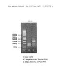 METHOD FOR DETECTING NUCLEIC ACIDS BY SIMULTANEOUS ISOTHERMAL     AMPLIFICATION OF NUCLEIC ACIDS AND SIGNAL PROBE diagram and image