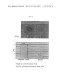 METHOD FOR DETECTING NUCLEIC ACIDS BY SIMULTANEOUS ISOTHERMAL     AMPLIFICATION OF NUCLEIC ACIDS AND SIGNAL PROBE diagram and image