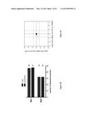 CHARACTERIZATION AND ANALYSIS OF THE COMPOSITION AND DYNAMICS OF THE     MAMMALIAN RIBOPROTEOME diagram and image